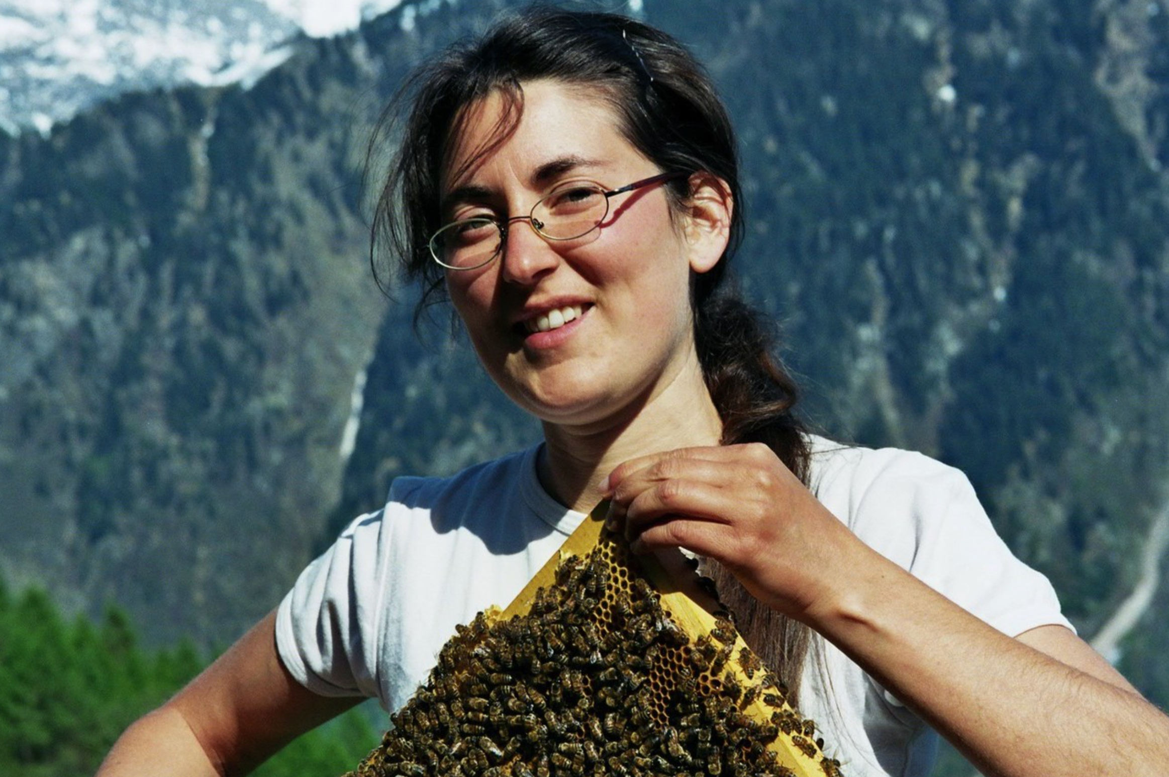 Honig Millefiori Bleniotal/Tessin aus der Honigernte 2025 (BioSuisse)