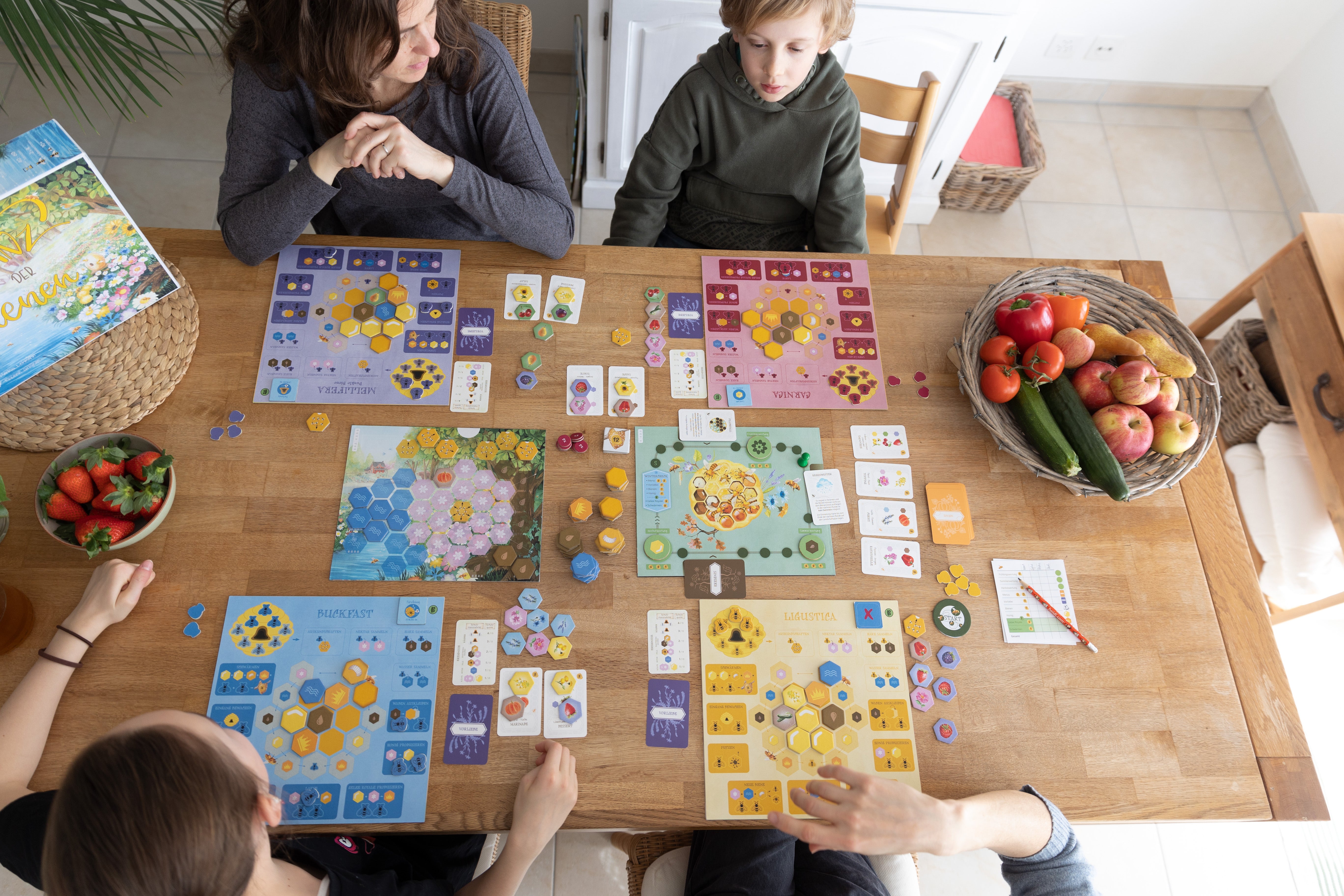 Exciting and educational family game "Dance of the Bees" - unfortunately the entire edition is already sold out