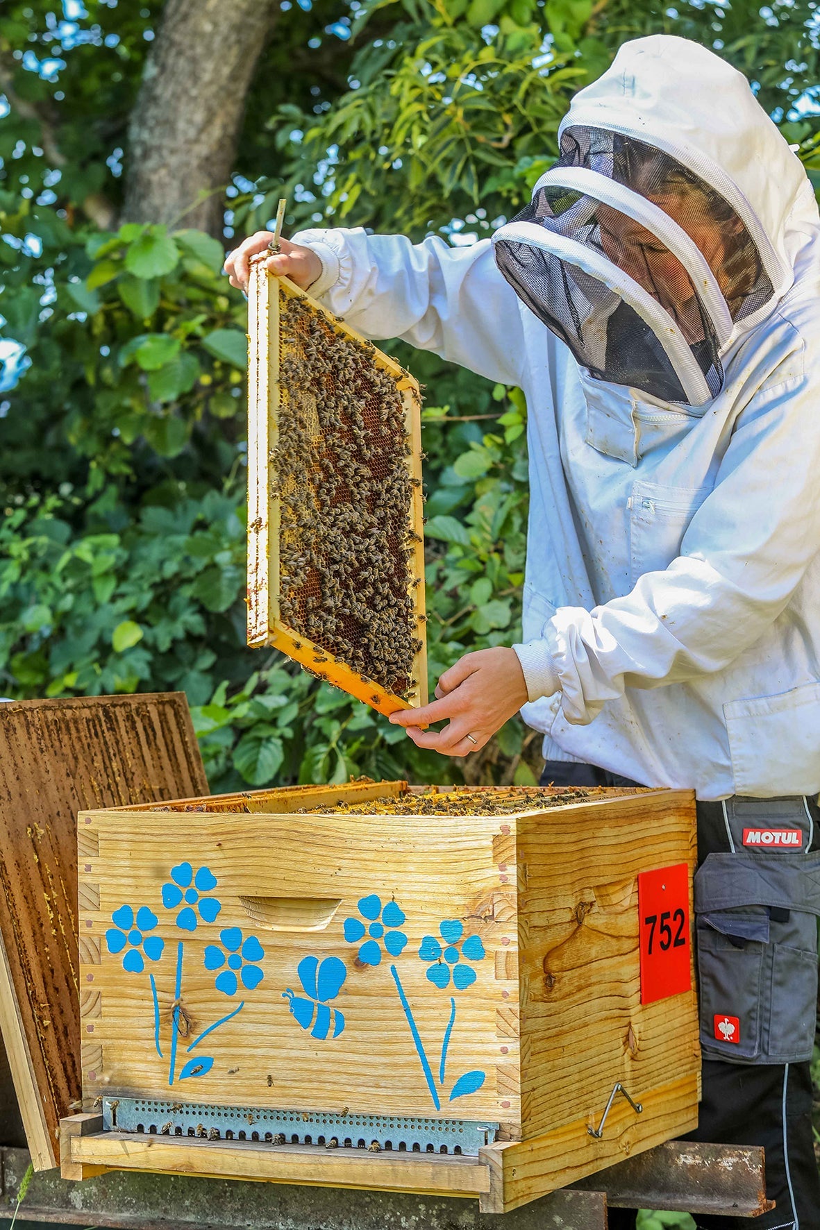 Demeter summer honey from Céligny on Lake Geneva