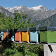 Honey Millefiori Bleniotal/Ticino (BioSuisse)