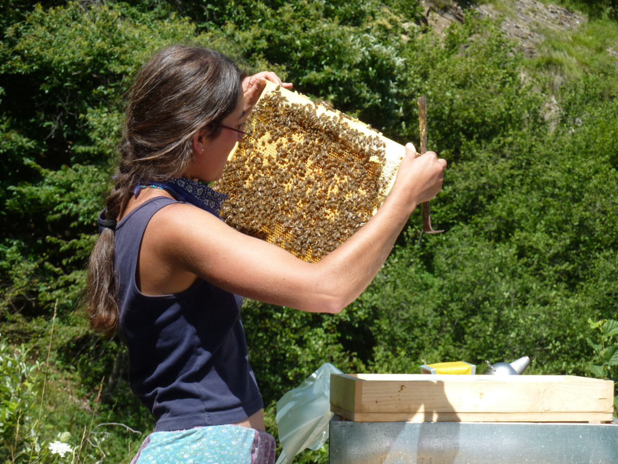 Honig Millefiori Bleniotal/Tessin aus der Honigernte 2025 (BioSuisse)