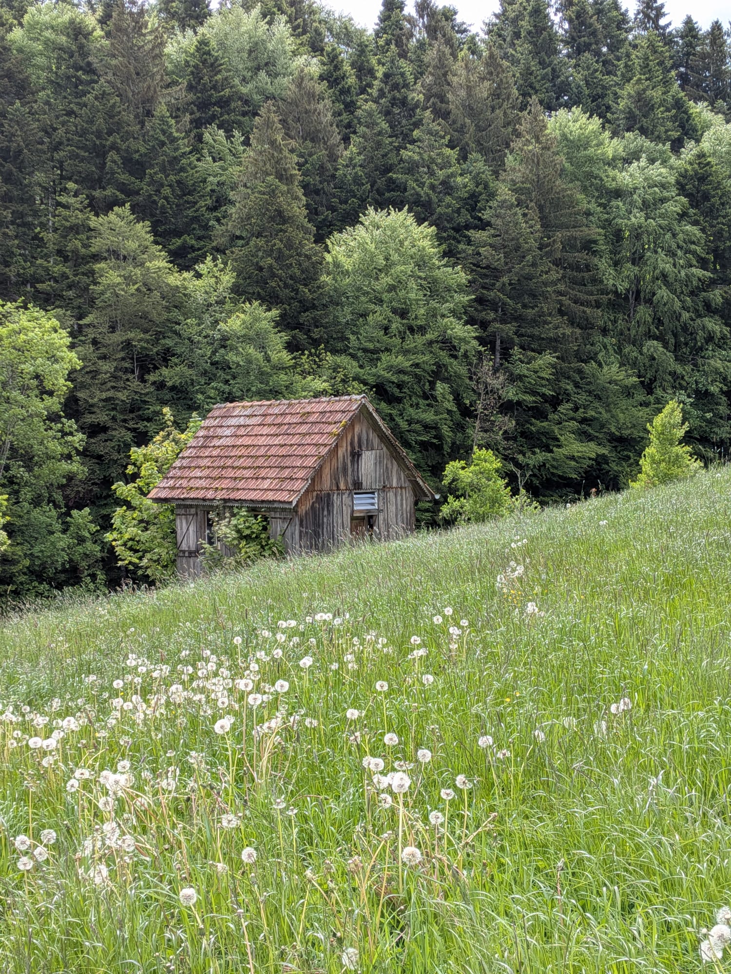 Schweizer Alpenhonig Napf-Gebiet, Willisau, Luzern (BioSuisse)