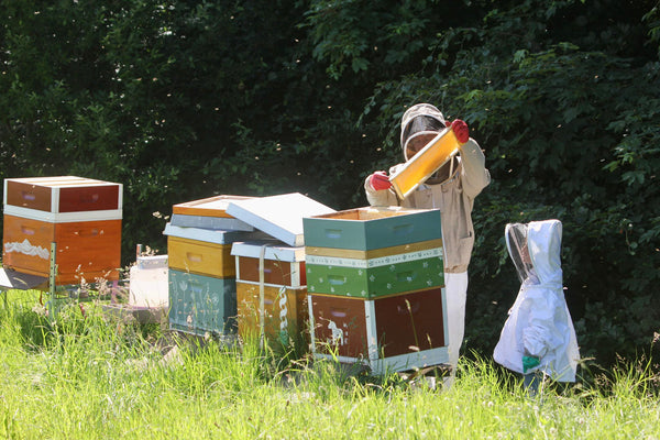 New in the range for 2022: Appenzell blossom honey
