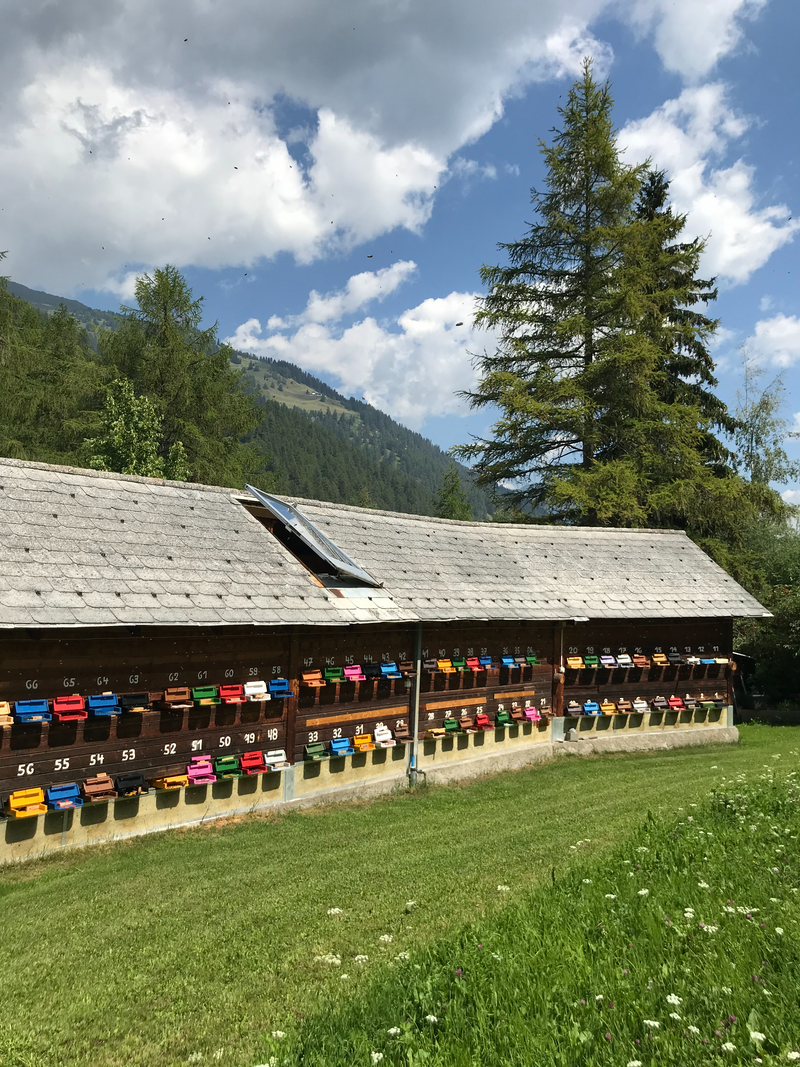 Alpenblütenhonig Santa Maria/Graubünden