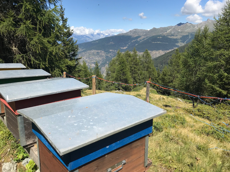 Alpine honey Essertze/Valais