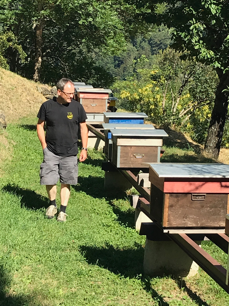 Alpine forest honey Riod/Valais