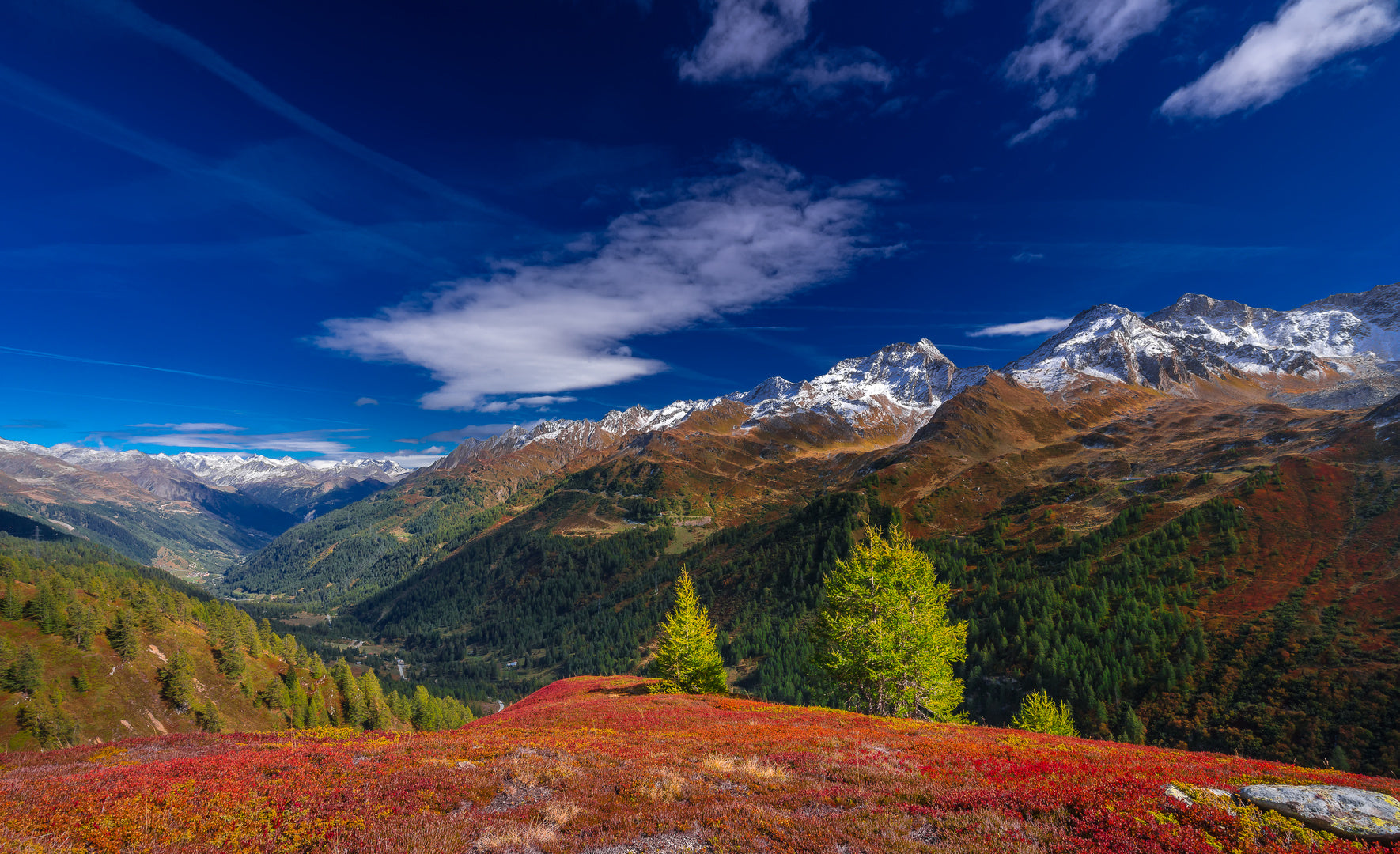 Schweizer Alpenhonig Nufenenpass/Tessin