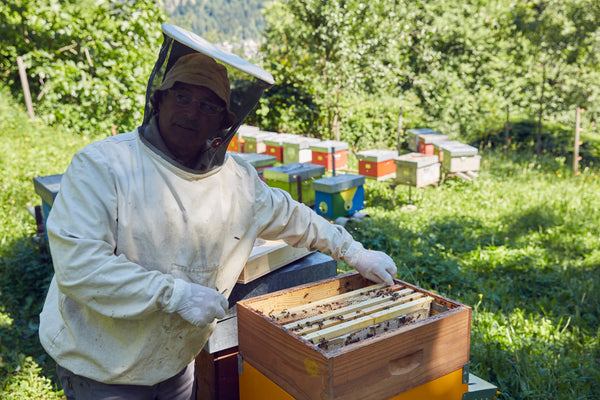 Alpine honey Promontogno/Grisons 