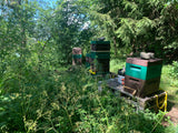 New in the range for 2022: A honey year in Sagogn, experience box with six glasses