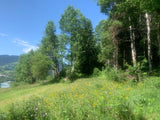 Sommerhonig aus Sagogn in der Surselva