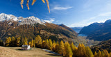 New in the range for 2022: Alpine blossom honey Golbia, Val Poschiavo/Graubünden