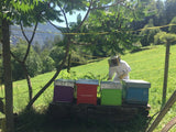 Miel de fleurs des Alpes Golbia, Val Poschiavo/Grisons