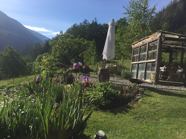 New in the range for 2022: Alpine blossom honey Golbia, Val Poschiavo/Graubünden