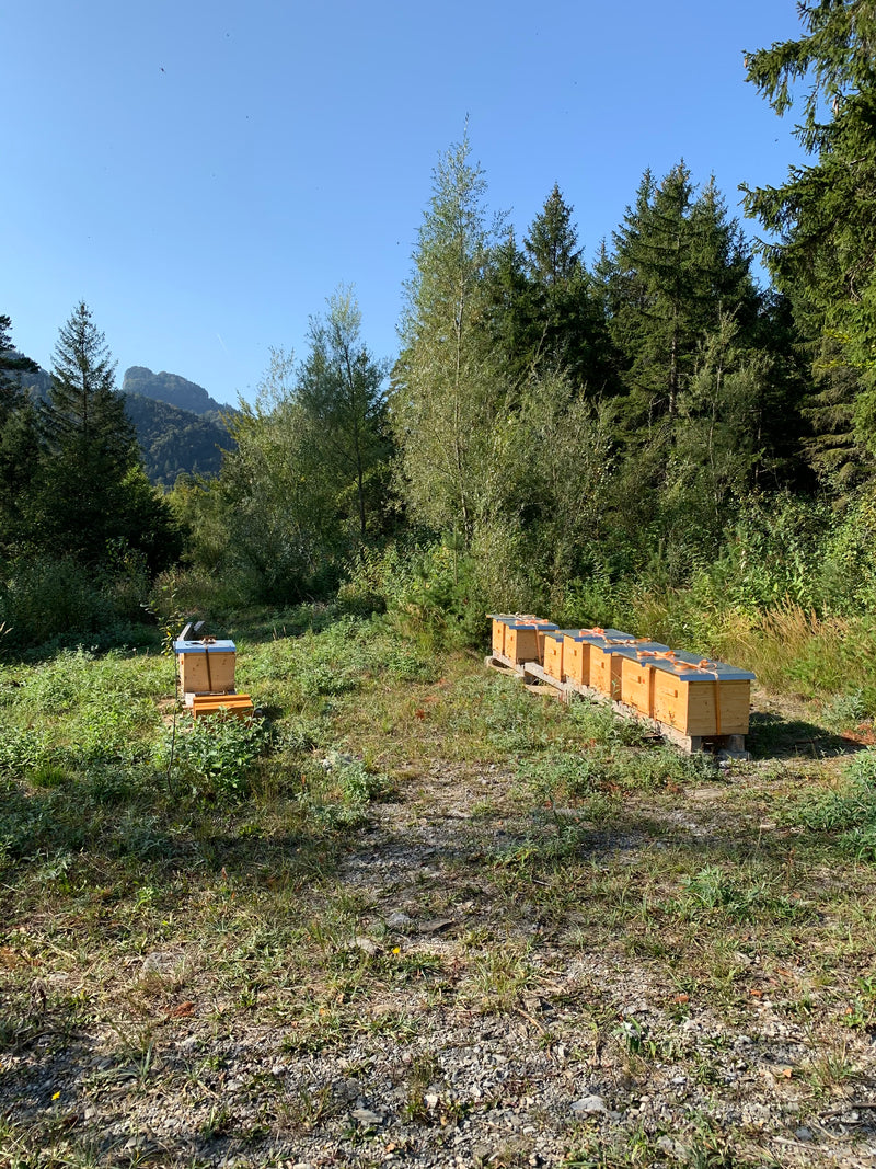 New in the range for 2022: Demeter Alpine blossom honey Fläsch Graubünden