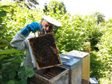 De retour dans l'assortiment en 2024 : miel de forêt « Suhrerchopf », Argovie