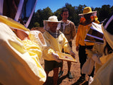 Miel d'eucalyptus de Sardaigne