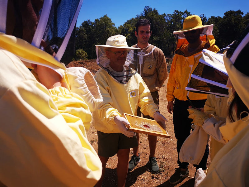 New in the range for 2023: Macchia honey from Sardinia