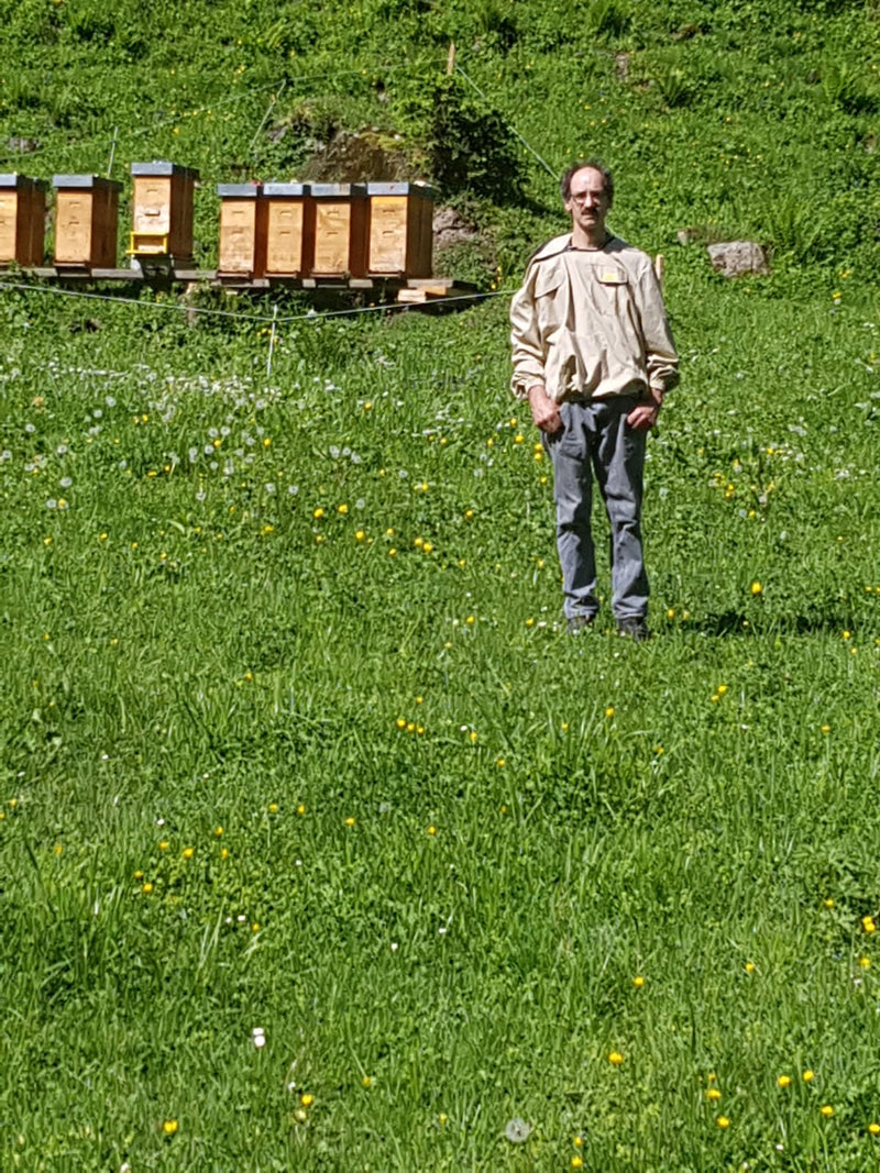 Spring honey dark bees Linthal/Glarus