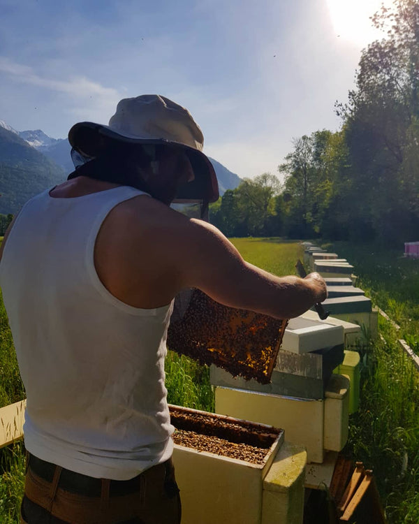 Acacia honey Ligornetto/Ticino