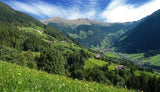 Gebirgshonig Passeiertal, Südtirol/Italien