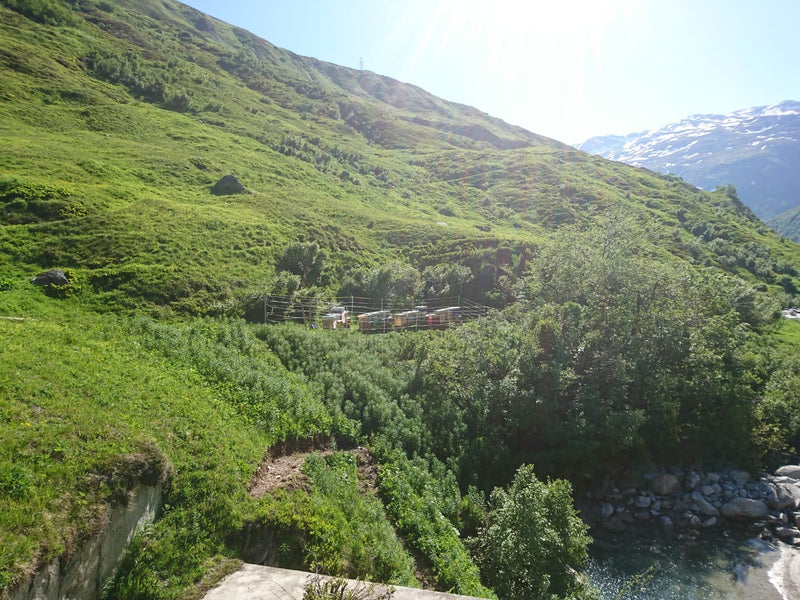 BioSuisse heather honey from the Gotthard Pass/Uri