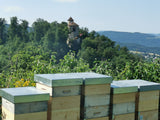 Nouveauté 2022 dans l'assortiment : miel d'été BioSuisse Arlesheim, Bâle-Campagne