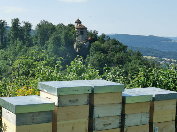 BioSuisse summer honey Arlesheim, Baselland