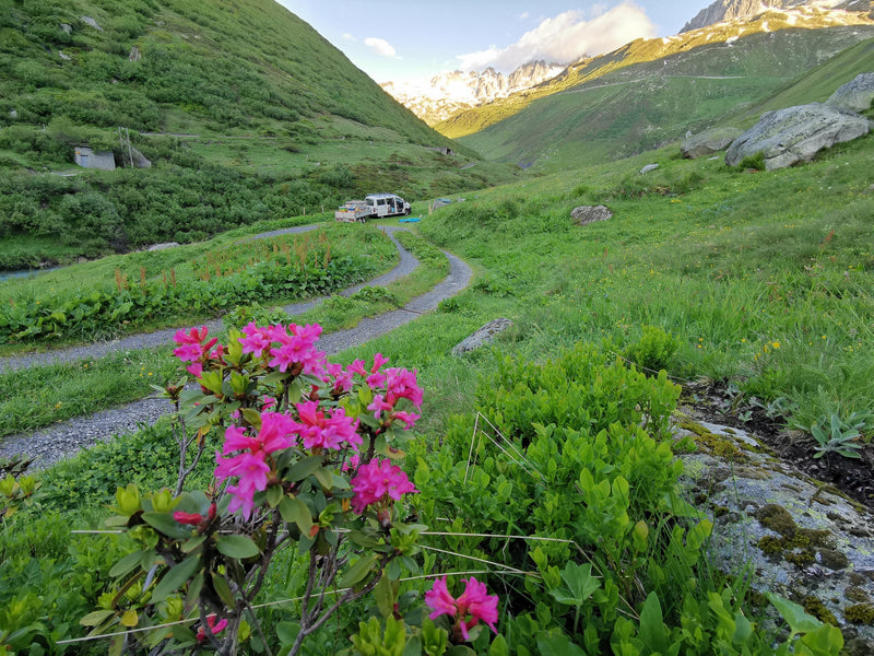 Miel de fleurs des Alpes BioSuisse Realp/Uri 