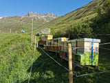 New in the range for 2022: BioSuisse alpine blossom honey Realp/Uri 