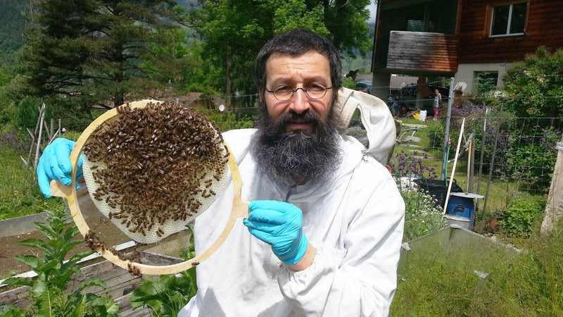 New in the range for 2022: Blossom Honey Paspels/Graubünden, BioSuisse and Demeter